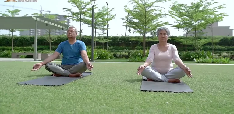 The Peaceful Homes – Yoga lawn (frame from developer video)